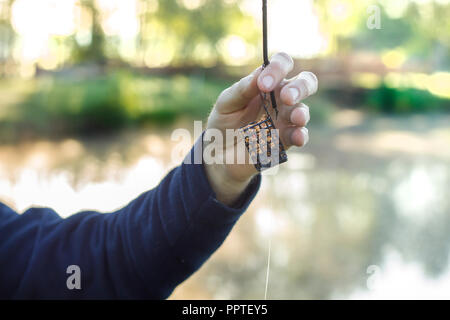 Hand ein Angler hält eine groundbait Box mit einem Köder. Stockfoto