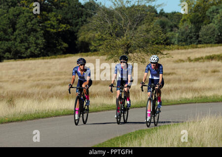 London, Großbritannien. 27. Sep 2018. UK Wetter: heißen Tag in Richmond Park am Ende September. Credit: JOHNNY ARMSTEAD/Alamy leben Nachrichten Stockfoto