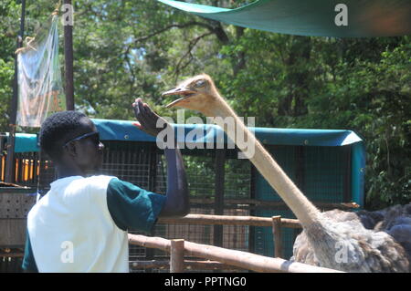 Jinja, Uganda. 27, September, 2018. Minister für Tourismus, die Tier- und Pflanzenwelt und Antiquitäten Godfrey Kiwanda (2. rechts) Unterstützt von Uganda's Tourism Board Vorsitzender Migereko Daudi (4. links) in einen Baum pflanzen bei Rippon Garten in Jinja während der nationalen Feierlichkeiten Welt Tourismus Tag zu kennzeichnen. Credit: Donald Kiirya/Alamy Leben Nachrichten. Stockfoto