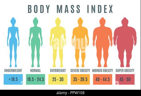 Female Body Mass Index von Untergewicht zu super Fettleibigkeit. Frau Silhouetten mit unterschiedlichem Gewicht. Vector Illustration Stock Vektor