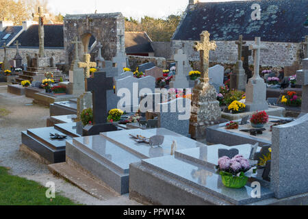 Friedhof mit Chrysanthemen Pflanzen auf Grabsteine für Allerheiligen Stockfoto