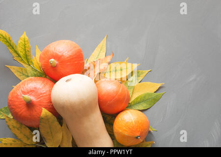Orange Kürbisse ernten mit Fall gelbe Blätter auf grau Holztisch. Fallen immer noch Leben. Kopieren Sie Platz. Ansicht von oben. Stockfoto