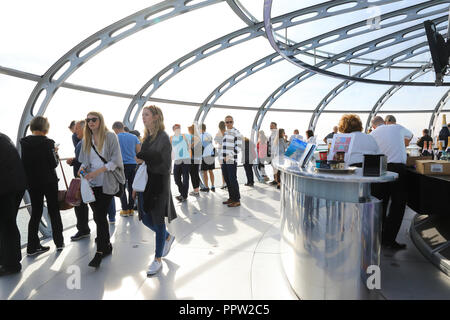 Das Glas anzeigen Pod auf der 162 Meter Aussichtsturm, das ist das Brighton i360, an der Küste, in East Sussex, Großbritannien Stockfoto