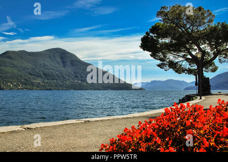 Schöne, bunte Blumen am Boulevard von See Locarno (Tessin, Schweiz) auf einem sonnigen, Ende September Tag. Es wird auch als Lago Maggiore Stockfoto