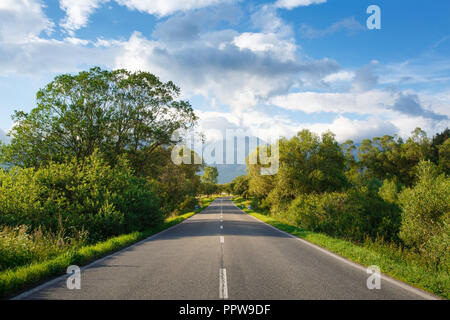 Szenische Ansicht vom Asphalt Straße in den Bergen. Vor dem Hintergrund der Berge, blauer Himmel und Wolken. Hohe Tatra. Bäume und Sträucher auf beiden Seiten o Stockfoto