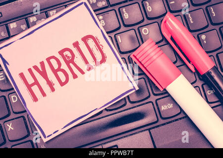 Wort schreiben Text Hybrid. Business Konzept für Nachkommen von zwei Pflanzen oder Tiere verschiedener Arten oder Sorten. Stockfoto