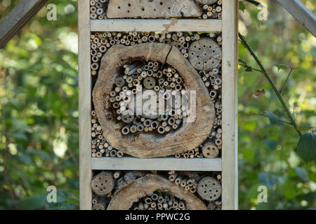 Starke Holzkisten mit Dächern und mit Bambus, Holz, Hackschnitzel und Steine Schutz und sichere Bereiche für solitäre Insekten zu erstellen. Stockfoto