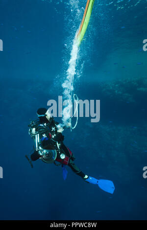 Scuba Diver pumpt Surface Marker Buoy, Brother Islands, Rotes Meer, Ägypten Stockfoto