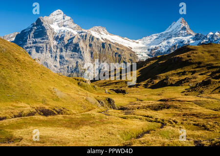 Sonne während der Wanderweg vom Ersten in Grindelwald (Berner Oberland, Schweiz). Sie haben eine tolle Aussicht auf Eiger, Mönch und Jungfrau. Stockfoto