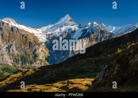 Sonne während der Wanderweg vom Ersten in Grindelwald (Berner Oberland, Schweiz). Sie haben eine tolle Aussicht auf Eiger, Mönch und Jungfrau. Stockfoto