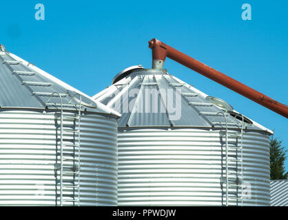 Weizen wird in einem Korn bin gespeichert Stockfoto