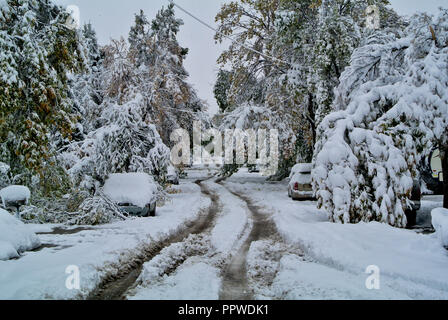 Ein Anfang Oktober Schneesturm bildet eine Verwirrung Stockfoto