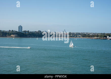 Auckland, New Zealand-December 17,2016: Boote in der ruhigen Hafen mit Blick aufs Wasser an einem klaren Tag in Auckland, Neuseeland Stockfoto