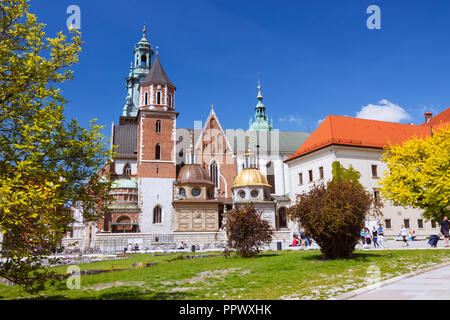 Krakau, Polen: Wawel Kathedrale auf dem Wawel. Erste erbaut und im 11. Jahrhundert zerstört; der Bau der aktuellen Gebäude begann in t Stockfoto