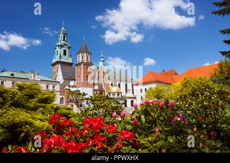 Krakau, Polen: Kathedrale auf dem Wawel Wawel mit bunten Blumen im Vordergrund. Erste erbaut und im 11. Jahrhundert zerstört; die constructi Stockfoto