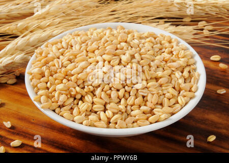 Frisches Vollkornbrot Kernel und Weizen Stiele Stockfoto
