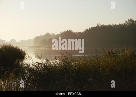 Sonnenaufgang über einem ruhigen See mit Reflexionen über einen Schilf mit dem warmen Licht der Sonne und des frühen Nebel gesehen Stockfoto