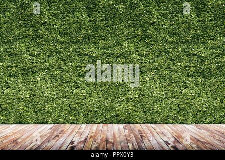 3D-Render von grünen vertikalen Garten, Wand Hintergrund Stockfoto