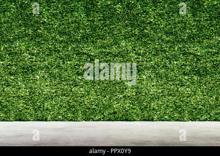 3D-Render von grünen vertikalen Garten, Wand Hintergrund Stockfoto