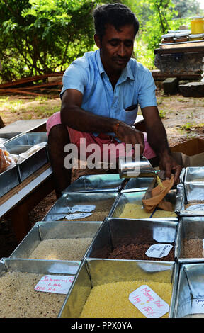 Farmers Market am Bhoomi College in der Nähe von Bangalore, Indien. Stockfoto