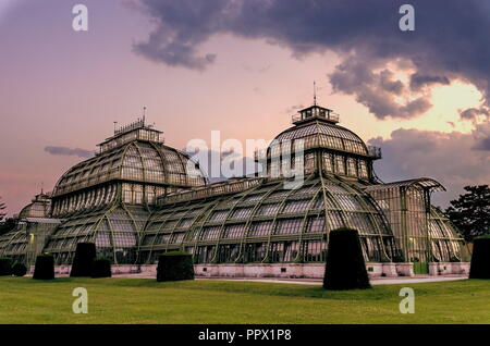 Ein Palm Haus im Park in der Nähe der Burg in Wien Stockfoto