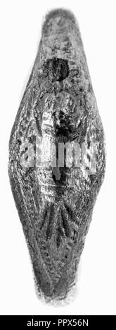 Ring; 2. Halbjahr 6. Jahrhundert B.C; Silber; 2,2 cm, 7,8 kg, 0.0046, 0.0101 lb Stockfoto