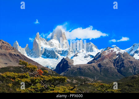 Detail der Mount Fitz Roy nach oben in den Bäumen. Gletscher Nationalpark in Patagonien, Argentinien Stockfoto