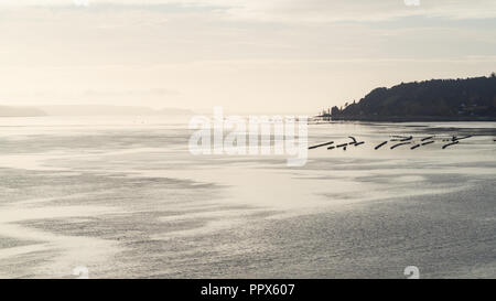 Fischerboote bei Dalcahue auf der Insel Chiloe, Patagonien Stockfoto