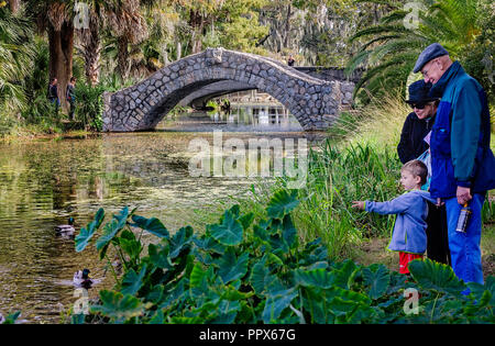 Großeltern füttern die Enten mit ihren Enkel im City Park, Nov. 14, 2015 in New Orleans, Louisiana. Stockfoto