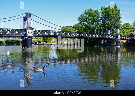 Blick auf die Ferry Bridge auch als stapenhill Ferry Bridge und dem Fluss Trent, Burton upon Trent, Staffordshire, England, UK, Westeuropa bekannt. Stockfoto