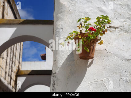 Weiß getünchten Wand mit Blumentopf und Bögen über eine enge Gasse in der Altstadt von Arcos de la Frontera, Andalusien, Spanien. Stockfoto