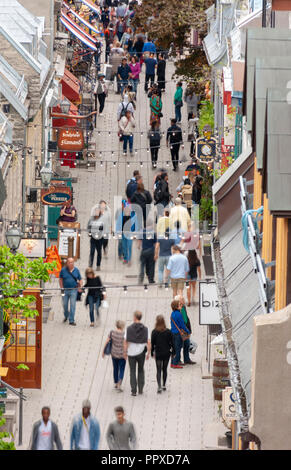 Masse der Touristen flanieren auf der Rue du Petit Champlain - ein berühmter Einkaufsstraße im historischen Viertel der Stadt, in der Altstadt von Quebec, Quebec City Stockfoto