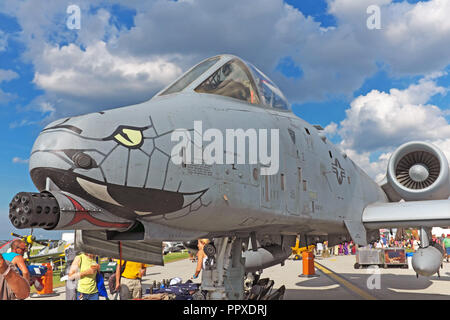 US-Luftwaffe A-10 warthog Kampfflugzeugs mit Serpentine nose art auf Anzeige an die 2018 Cleveland National Air Show in Cleveland, Ohio, USA. Stockfoto