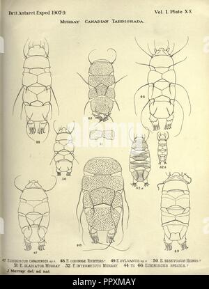 British Antarctic Expedition, 1907-9, unter dem Kommando von Sir E.H. Shackleton, c.v.o Stockfoto