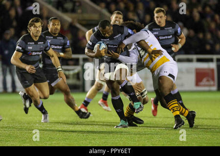 Newcastle, UK. 28. September 2018, Kingston Park, Newcastle, England; Gallagher Premiership, Newcastle v Wespen; Vereniki Goneva von Newcastle Falcons in Angriff genommen wird: Dan Cooke/News Bilder Credit: Aktuelles Bilder/Alamy leben Nachrichten Stockfoto