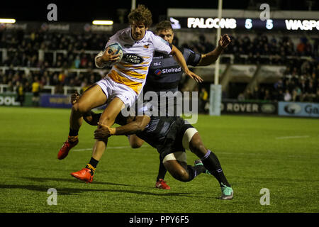 Newcastle, UK. 28. September 2018, Kingston Park, Newcastle, England; Gallagher Premiership, Newcastle v Wespen; Josh Basset von Wespen in Angriff genommen wird: Dan Cooke/News Bilder Credit: Aktuelles Bilder/Alamy leben Nachrichten Stockfoto