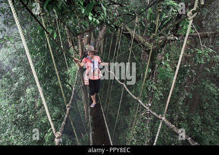 Menschen, die auf Einem Baumkronenüberdachungssteg spazieren gehen, Sabah, Borneo, Malaysia, Südostasien Stockfoto