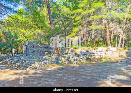 Reste der antiken Agora, Domitian, die entlang der Hauptstraße von Phaselis archäologische Stätte, Tekirova, Türkei. Stockfoto