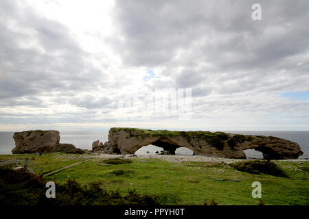 Bögen Provincial Park, Portland Creek, Neufundland, einem natürlichen Felsen Torbogen von Gezeiten aktion erstellt Stockfoto