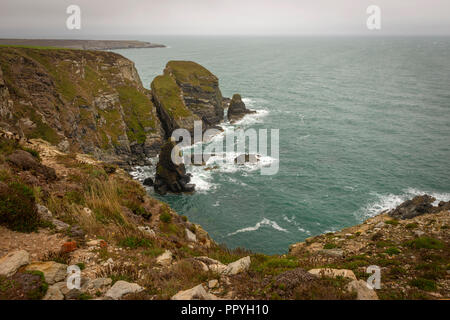 South Stack auf der heiligen Insel Anglesey, Wales, Großbritannien Stockfoto