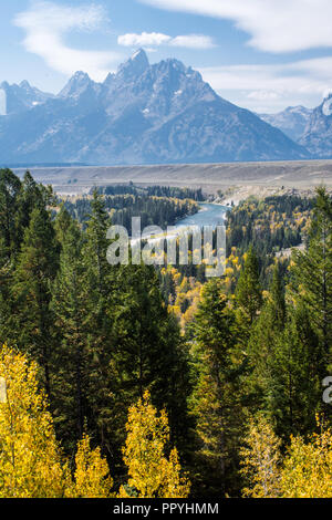 Snake River blicken auf Elche Wyoming, Grand Tetons National Park Stockfoto