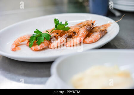 Ein paar Garnelen in Salz mit Kraut schön auf weiße Platte eingerichtet Stockfoto