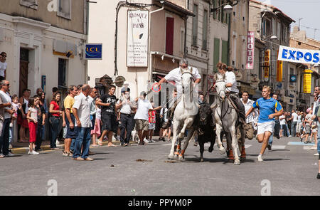 Saint Gilles, Camargue-France 2016 Traditionelles Fest mit Kostüm Paraden und Reiter führt die Stiere durch die Straßen des Dorfes Stockfoto