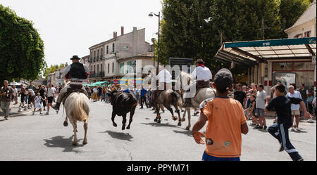 Saint Gilles, Camargue-France traditionellen Festival jedes Jahr im August 2016, die Reiter die Stiere durch die Straßen des Dorfes läuft Verhalten Stockfoto