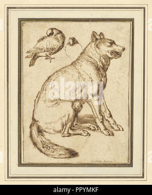 Ein Wolf und zwei Tauben; Sinibaldo Scorza, Italienisch, 1589 - 1631, Italien; ca. 1610 - 1620; Stift und brauner Tinte über Schwarze Kreide Stockfoto