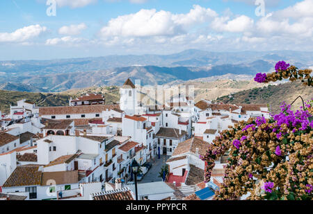 Rote Ziegeldächer der weissen Häuser und Kirche Turm, Canillas de Acientuna, Mudejar route, Axarquia, Andalusien, Spanien Stockfoto