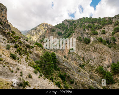 Blick auf das Tal, Sierras de Tejeda Naturpark, Axarquia, Andalusien, Spanien Stockfoto