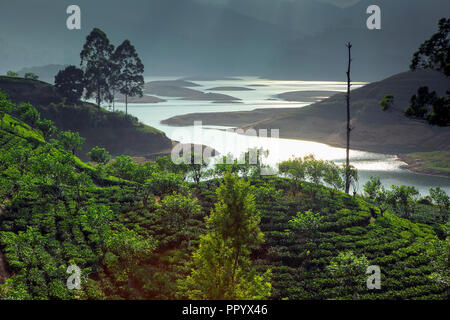 Malerische Teeplantagen und See in Maskeliya, Sri Lanka Stockfoto