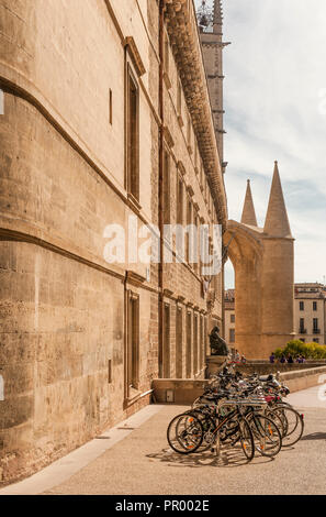 Universität von Montpellier, Fakultät für Medizin, der weltweit älteste medizinische Schule noch in Betrieb. Frankreich Stockfoto