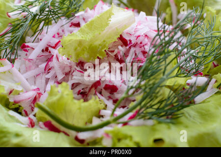 Rettich Salat mit grünen auf einem Tablett. Der Blick von oben Stockfoto